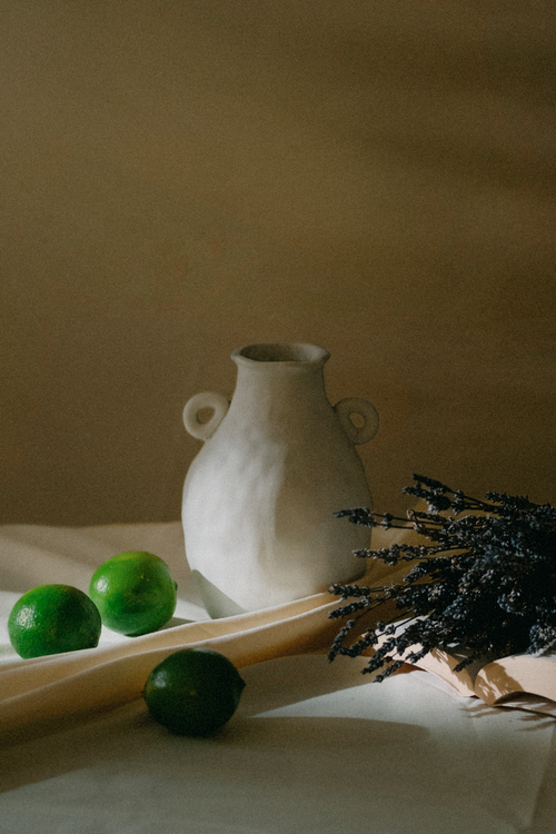 SOUTH OF FRANCE - AUTO DIFFUSER FRAGRANCE